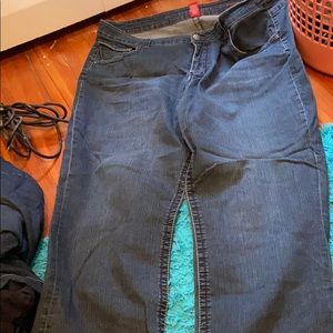 22w liver pool jeans rita bootcut